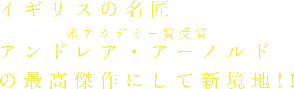 イギリスの名匠アンドレア・アーノルド(米アカデミー賞受賞)の最高傑作にして新境地!!
